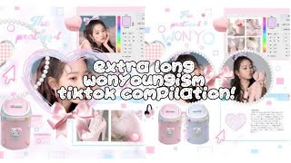 EXTRA long wonyoungism tiktok compilation ೃ༄ [upl. by Leahicm371]