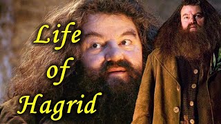 Life of Hagrid  Origin Explained in Hindi [upl. by Lauzon]