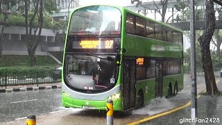 Suntec Convention Centre  Buses in Heavy Rain Singapore 2016 [upl. by Gayelord]