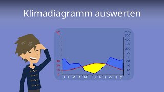 Klimadiagramm Auswerten So gehts  Studyflix [upl. by Enitsed]