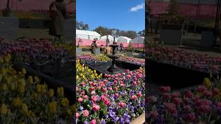 Floriade Spring Festival 2024 canberra [upl. by Atterbury135]