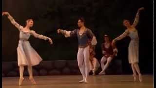 Swan Lake  Pas de trois [upl. by Proctor]