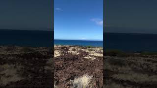 Maninio’wali Beach Kekaha Kai State Park Maninio’wali Section [upl. by Rambow]