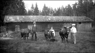 Svensk folkmusik  Låt Till Far [upl. by Napas]