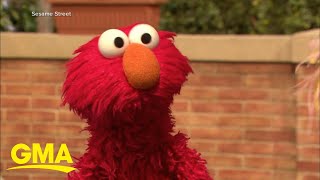 Elmo’s feud with a pet rock goes viral l GMA [upl. by Mohandas483]