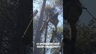 GO APE Sherwood Forest  Treetop Challenge PLUS  The swinging tree trunks section  June 2024 [upl. by Aihseket]