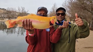 Fishing at Hesperia Lake Catch a Lightning 63 LB Trout Dec 27 2023 [upl. by Wileen429]