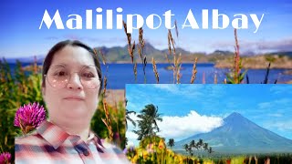 MALILIPOT ALBAY PHilippines [upl. by Reahard]