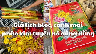 Sài Gòn đón tết 2024 sớm Pháo kim tuyến nổ đùng đùng  Giá cành mai hoa đào lịch bloc [upl. by Dyoll]