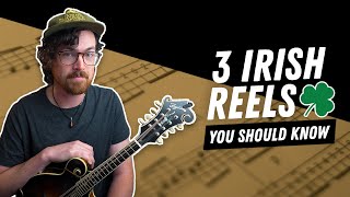 3 Irish Reels You Should Know  Mandolin Lesson [upl. by Cadal]