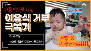 5 수유량 600대에서 1000 찍은 비법  이유식량 늘리기  이유식 거부 극복  이유식 교정  후기이유식 거부  10개월아기 [upl. by Axia]