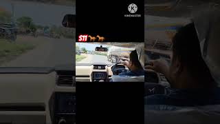 Bhaukaal ka Dusra Naam Scorpio Classic S11 🔥🐎 shorts shortvideo mahindra scorpio scorpios11 [upl. by Benedetto448]