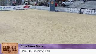 Shorthorn Show  Farmfair 2023  Edmonton AB [upl. by Romulus]