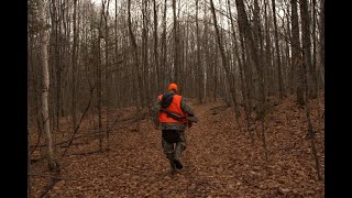 5 Days Hunting  Ontario Whitetail Deer [upl. by Holmes]