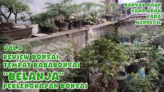 REVIEW KOLEKSI BONSAI TEMPAT BABABONSAI BELANJA PERLENGKAPAN BONSAI Vol 2 [upl. by Arretal450]