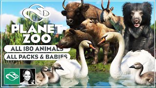 ▶ All 180 Animals amp Babies  Every Animal in Planet Zoo [upl. by Icyak]