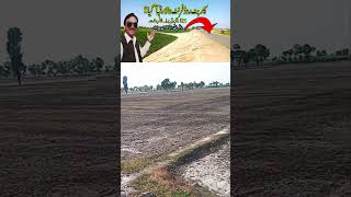 21 ACRE LAND Agriculture Land For Sale In Punjab Pakistan [upl. by Upshaw38]