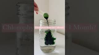 Chlorophyll Water for 1 Month Results Shorts [upl. by Slyke]