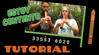 TUTORIAL Estoy contento anateada  tarkeada [upl. by Teilo311]