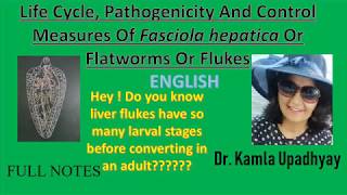 Fasciola hepatica Fasciola hepatica life cycle Flat worm Liver Fluke Fluke Liver rot [upl. by Arondell]