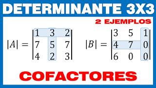 Determinante 3x3 Método de Cofactores [upl. by Riggs]