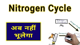 Nitrogen Cycle in Hindi [upl. by Onirefes]