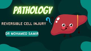 Reversible cell injury [upl. by Ahsienet381]