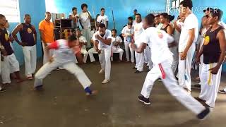 Capoeira em Salvador Grupo Filhos da Bahia [upl. by Abil]