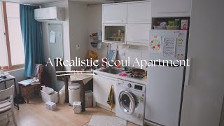 A Very Realistic Seoul Apartment Tour [upl. by Egamlat]