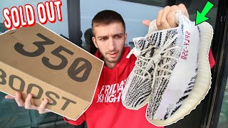 BUYING YEEZY 350 V2 ZEBRA ADIDAS RESTOCK a WEEK EARLY Are They WORTH IT [upl. by Ashlie]