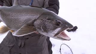 The Best Lake Trout Gear for Ice Fishing [upl. by Jacquelin]