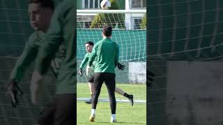 GK TRAINING VIDEOS FOR ONE ⚽🥅🧤 WEEK goalkeeper goalkeepersaves asmr asmrsounds fyp football [upl. by Elrahc]