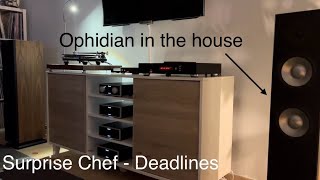 Rega P8Nagaoka MP300 Heed Thesis amp Ophidian P2E Suprise Chef “Deadlines” [upl. by Alrats]