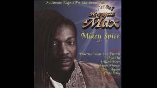 Mikey Spice  Stand Tall Reggae Max [upl. by Nolyag]