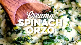 Creamy Spinach Orzo  Supergolden Bakes [upl. by Nnaeirelav778]