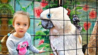 Niños y animales salvajes en el zoológico tipos de animales  Mi Mi Kids [upl. by Anidal]