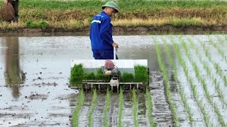 The Fastest Mini Rice Transplanting Machine works on big farm [upl. by Saretta542]