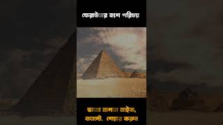 ফেরাউন কে ছিল pharaoh shorts ytshorts [upl. by Waldack]