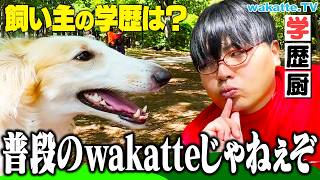 【極限】学歴厨ならできる！？ペットを見て飼い主の学歴当て対決！【wakatte TV】1064 [upl. by Nylekoorb105]