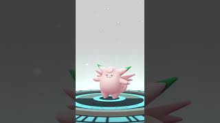 EVOLVING A SHINY CLEFAIRY INTO A SHINY CLEFABLE pokemongo shinypokemon clefable [upl. by Ennaul]