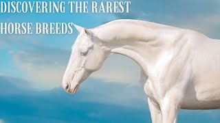 The Rarest Horse Breeds in the World [upl. by Brunell634]