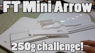 FT Mini Arrow 250g Challenge [upl. by Eahcim]