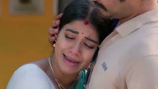 Anna  Ep  540  Webisode  Dec 06 2024  Zee Tamil [upl. by Tonjes]