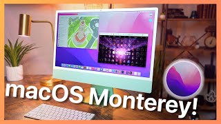 macOS Monterey Hands on First Look [upl. by Ttevi741]