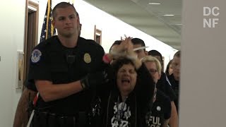 Protesters Arrested In Senate Offices During Kavanaugh Hearings [upl. by Keyser]