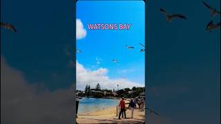 WATSONS BAY music sydney travel australia fypage fypシ゚viral [upl. by Aziza303]