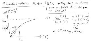 Michaelis Menten Kinetics [upl. by Ahsilaf]