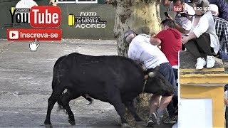 TOURADA Sanjoaninas Feteira 2662019 Ganadeiros FPHFJGpJGf [upl. by Naed257]