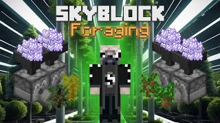 Completing Foraging  Hypixel Skyblock 29 [upl. by Lorre]