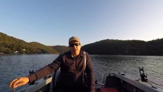 Berowra Waters Bream fishing with Zman GrabZ [upl. by Allemap]